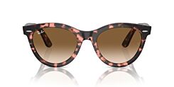 WAYFARER OVAL