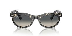 WAYFARER OVAL