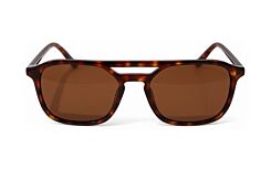 Tortoise/ Brown Polarized