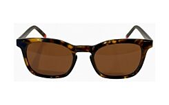 Tortoise/ Brown Polarized