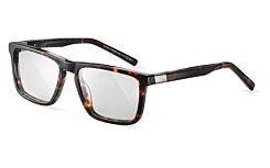 EPID 01 Dark Havana Shiny 0231 54-17 140
