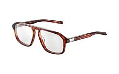 EPID 02 Havana Shiny 2231 56-16 140
