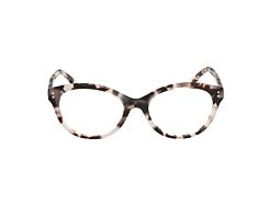 HOLLISTER ACETATE FRAMES