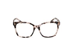 HOLLISTER ACETATE FRAMES