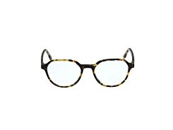 HOLLISTER ACETATE FRAMES