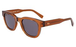 Brown (210) · 49-21