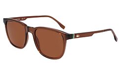 Transparent Brown (210) · 53-19