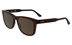 Transparent Dark Brown (210) · 54-17