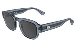 Transparent Light Grey Blue (035) · 51-22