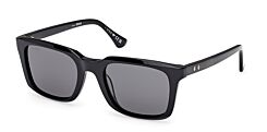 WEB ACETATE SUNGLASSES