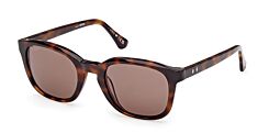 WEB ACETATE SUNGLASSES