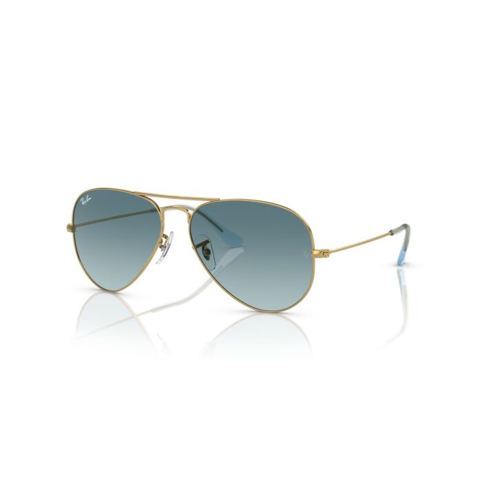 AVIATOR LARGE METAL