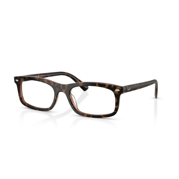 RAY-BAN VISTA