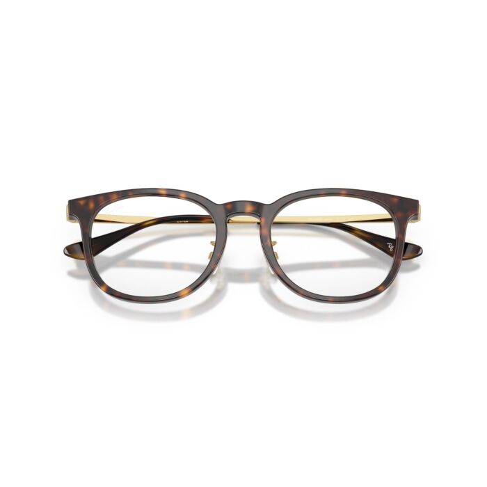 RAY-BAN VISTA