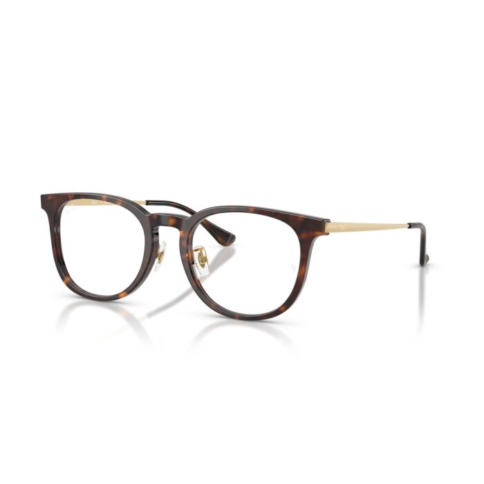 RAY-BAN VISTA