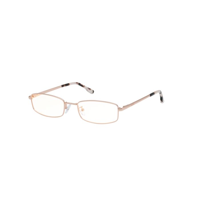 HOLLISTER METAL FRAMES