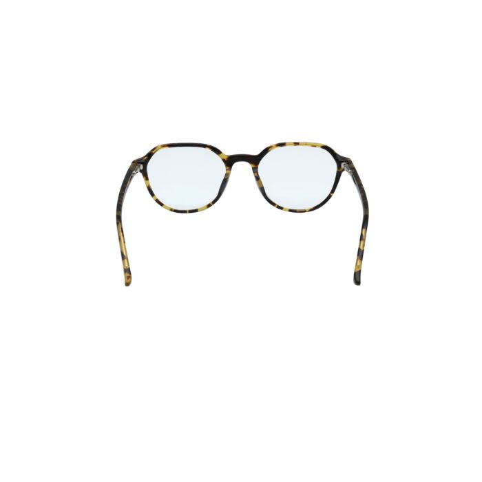 HOLLISTER ACETATE FRAMES