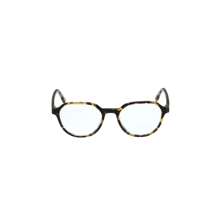 HOLLISTER ACETATE FRAMES