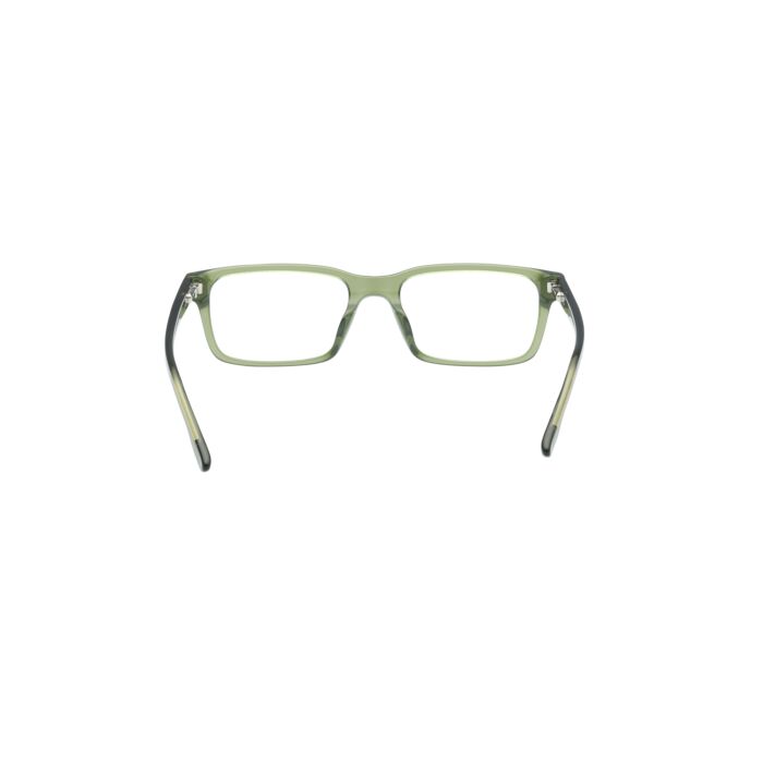 HOLLISTER ACETATE FRAMES