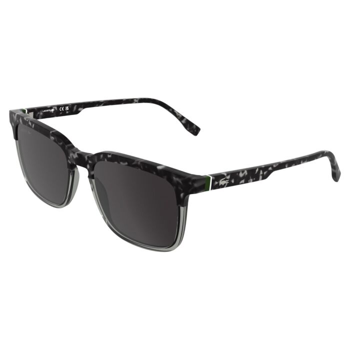 L6074S-240