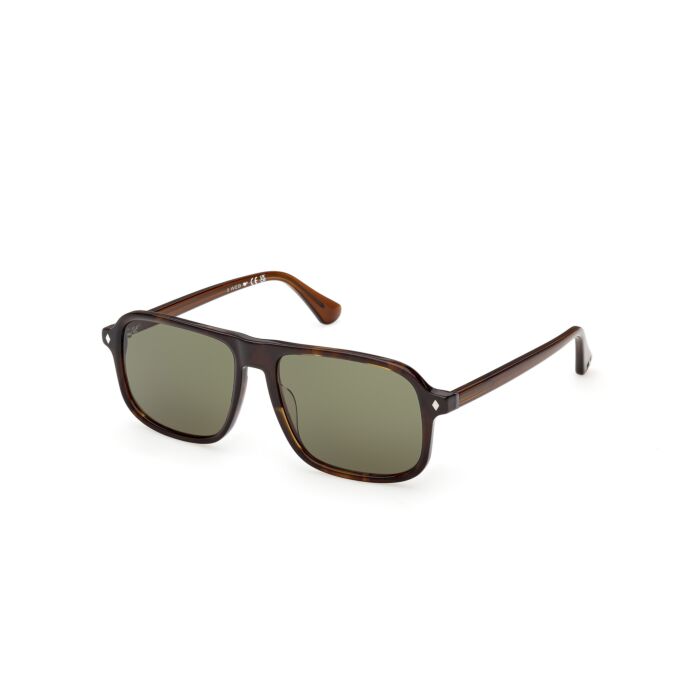 WEB ACETATE SUNGLASSES