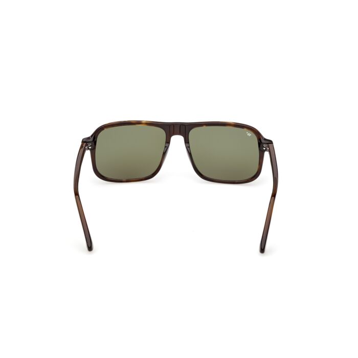 WEB ACETATE SUNGLASSES