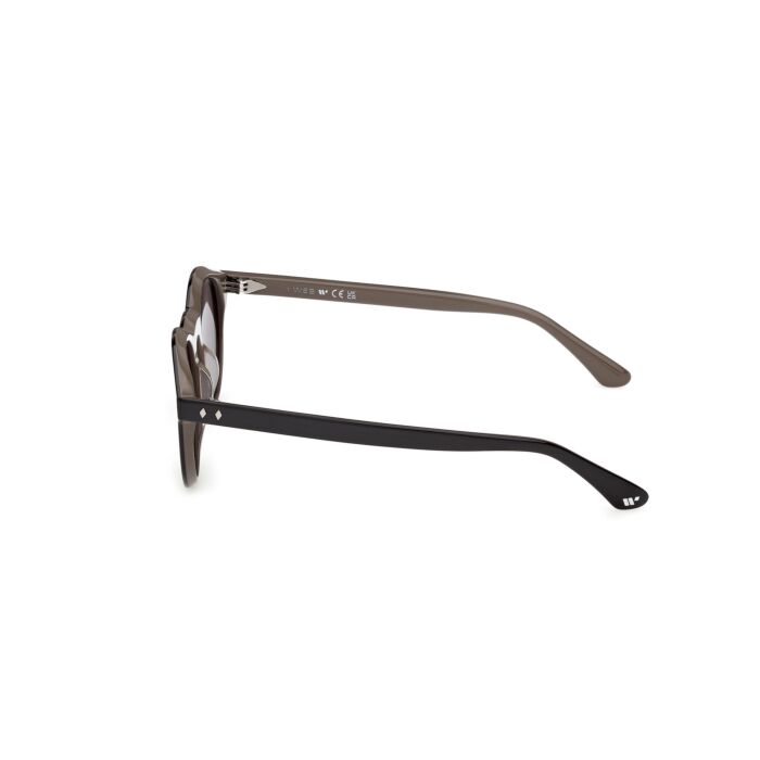 WEB ACETATE SUNGLASSES