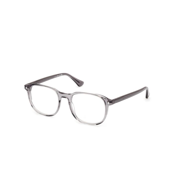 WEB ACETATE FRAMES
