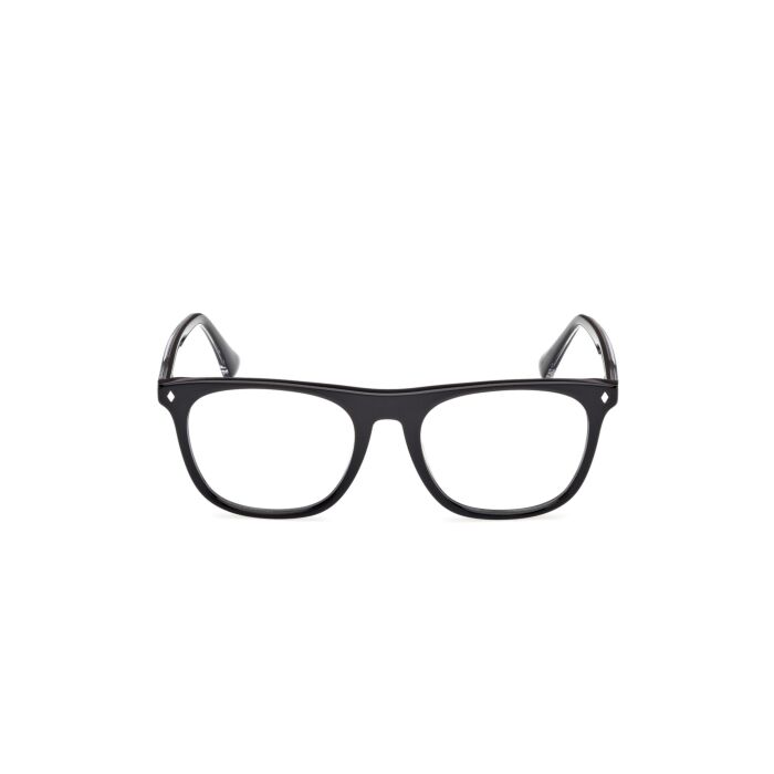 WEB ACETATE FRAMES