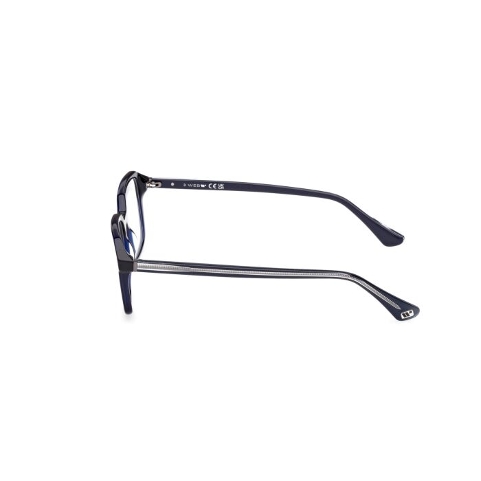 WEB ACETATE FRAMES