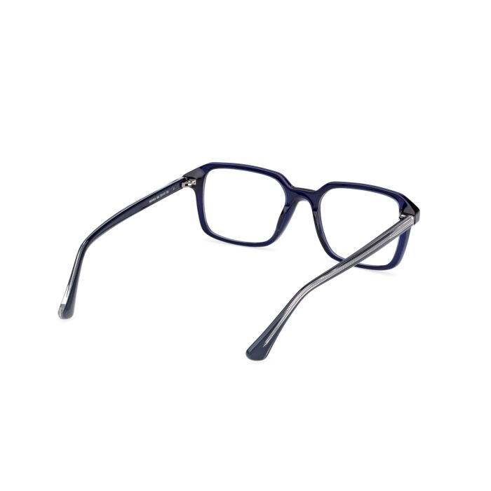 WEB ACETATE FRAMES