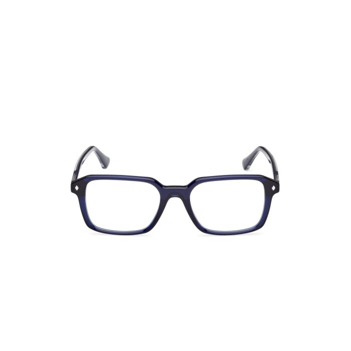 WEB ACETATE FRAMES
