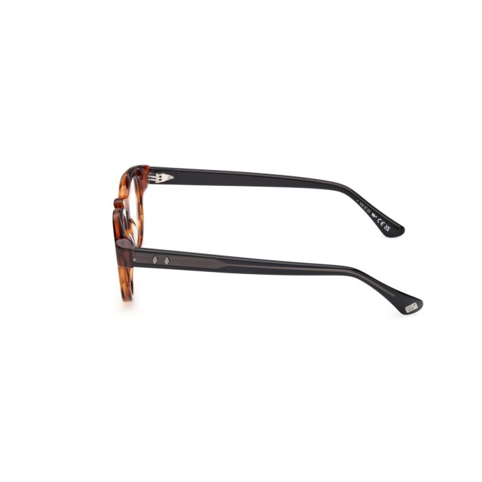 WEB ACETATE FRAMES