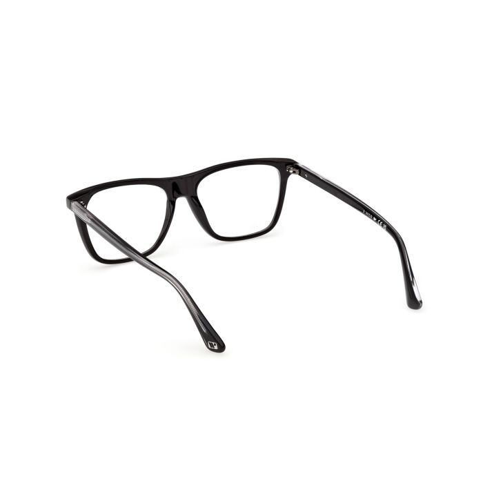 WEB ACETATE FRAMES